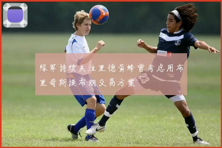 绿军持续关注里德黄蜂曾考虑用布里奇斯换布朗交易方案